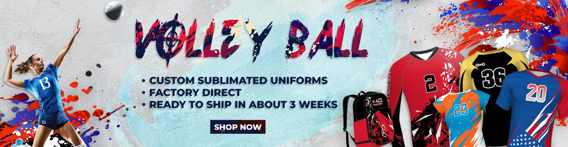 volley Ball